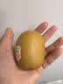 佳沛（zespri）新西兰金奇异果12粒特大果124-146g猕猴桃水果礼盒 实拍图