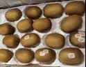 佳沛（zespri）新西兰阳光金奇异果6粒装88-103g猕猴桃水果水果礼盒 实拍图