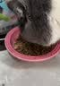 比瑞吉猫粮爱不将就藻鱼儿全价成猫粮10KG 含三文鱼螺旋藻原料透明 实拍图