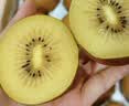 佳沛（zespri）新西兰  阳光金奇异果10粒巨大果单果146-175g 猕猴桃 实拍图