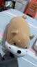 名创优品（MINISO）趴趴小狗玩偶抱枕毛绒公仔儿童玩具宿舍沙发靠枕床上陪伴抱睡礼物 实拍图