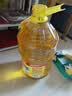 鲁花 食用油 物理压榨 葵花仁油6.18L  实拍图