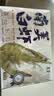 万景北海鲜冻国产白虾巨无霸 单冻无冰净重3斤/盒 30-45只 家庭聚餐 实拍图