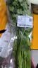 【火锅季】带根香菜100g 实拍图