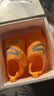 耐克（NIKE）宝宝勾婴幼儿易穿脱学步鞋男女童运动鞋Nike Swoosh 1 FB3244 实拍图