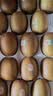 佳沛（zespri）新西兰金奇异果12粒特大果124-146g猕猴桃水果礼盒 实拍图
