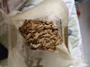 节节旺打手瓜子五香味400g坚果炒货解馋休闲零食小吃葵花籽大颗粒大袋 实拍图