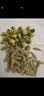 艺福堂胎菊花茶50g 新花无硫熏杭白菊 特养生凉茶级可搭配玫瑰花枸杞 实拍图