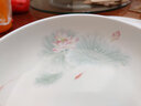 华光国瓷 骨瓷盘子 抗菌餐具碟盘筷勺 中式骨瓷家用餐具 春江水暖 浅碗 1个 9英寸 实拍图
