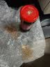 陶华碧老干妈风味豆豉油制辣椒280g【美食大赛同款】贵州特产辣椒酱下饭菜蘸料 实拍图