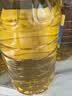 金龙鱼 食用油 葵花籽清香型食用植物调和油5L*4 实拍图