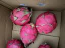 京鲜生广西红心火龙果 净重4.5斤装 中果 单果300g+ 新鲜水果 实拍图