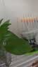网易严选浴室香氛香薰空气清新剂卫生间厕所除臭消臭蛋栀子400ml 实拍图