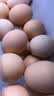 大码鲜鸡蛋1.8kg 实拍图