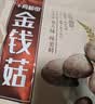 十月稻田 金钱菇 200g 干香菇 小香菇 山珍菌菇干货 煲汤火锅炒菜食材 实拍图