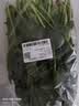 大菠菜300g 实拍图