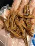 劲仔【王俊凯推荐】深海小鱼 麻辣味 300g/盒 20包  鱼仔鱼干下酒菜 实拍图