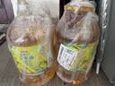 金龙鱼 食用油 非转基因 物理压榨玉米油6.18L（蕴含植物甾醇） 实拍图