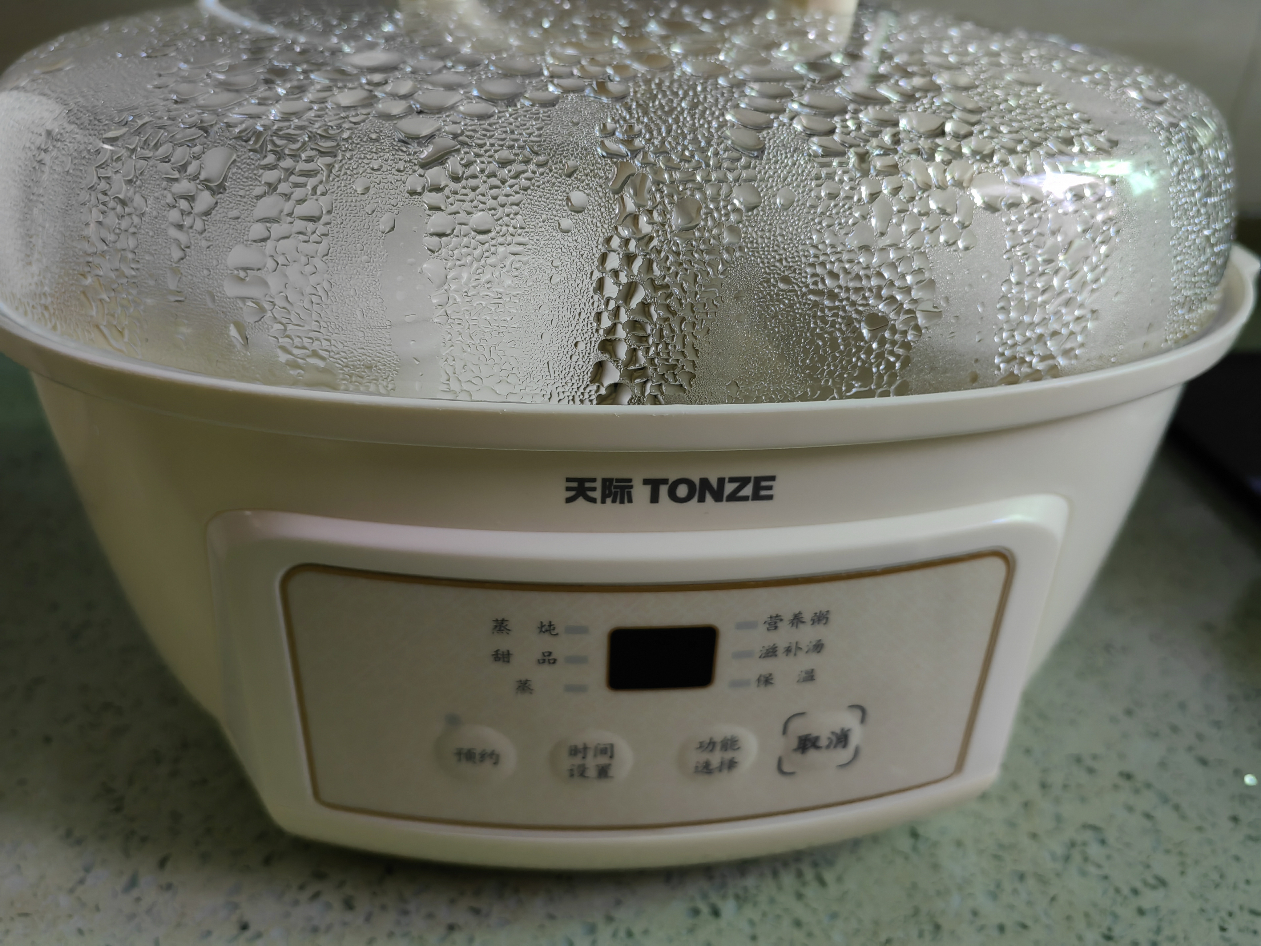天际（TONZE）电炖锅隔水炖锅煲汤锅炖汤锅婴儿辅食煮粥锅养生燕窝炖盅白瓷内胆 DGGD23A183BBW1.8L 实拍图