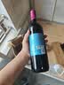 通化红梅甜型葡萄酒红酒 果酒微醺聚会送礼 【小酌尝鲜】铁盖红梅15度*1瓶 实拍图