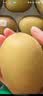 佳沛（zespri）新西兰金奇异果18粒超大原箱175-204g猕猴桃水果礼盒 实拍图