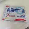 三元 特品鲜牛奶243ml 巴氏杀菌 早餐 营养 实拍图