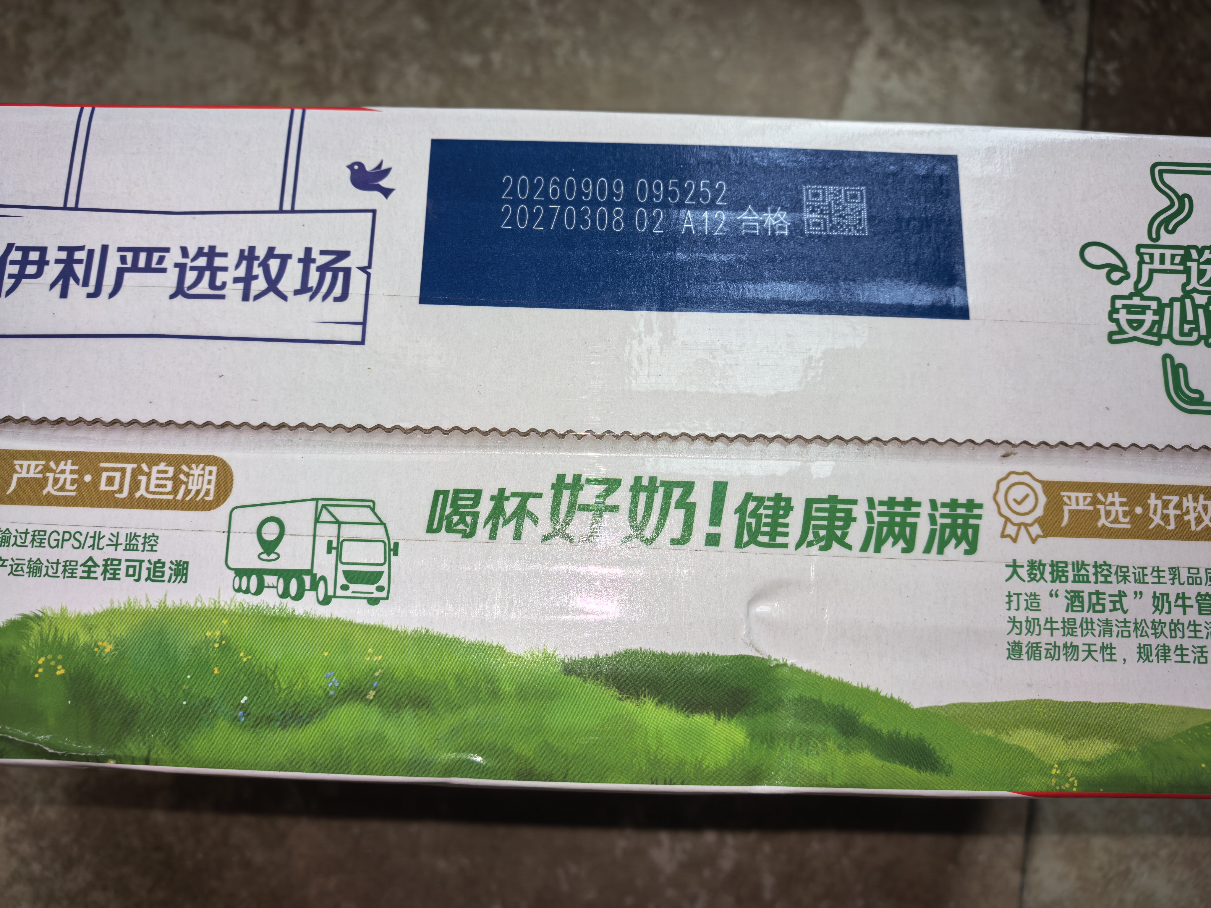 伊利严选牧场纯牛奶 250ml*16盒3.3g优质乳蛋白全脂牛奶 礼盒装 实拍图