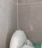强生婴儿牛奶润肤露500g 【企业专享】宝宝儿童保湿润肤乳身体乳面霜 实拍图