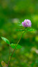 索尼(SONY) α A6400 A6300 A6600 a6000视频直播4K二手微单相机 A6400 单机 颜色随机 99新 实拍图