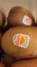 佳沛（zespri）新西兰金奇异果22粒巨大原箱146-175g猕猴桃水果礼盒 实拍图