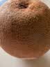 佳沛（zespri）新西兰金奇异果22粒巨大原箱146-175g猕猴桃水果礼盒 实拍图