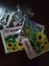 波斯菊花种子种籽子四季播种易活庭院室外凤仙花籽矢车菊翠菊种孑 01：重瓣混色凤仙花种子 今年新籽：粒粒精选20-30粒【开花爆盆】 实拍图