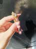 大英博物馆东方梦境香灰琉璃粉瓷葫芦走环手链手串送女生生日礼物 实拍图