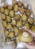 佳沛（zespri）金奇异果25-27粒原箱特大果124-146g猕猴桃水果礼盒 实拍图