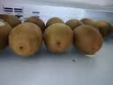 佳沛（zespri）金奇异果25-27粒原箱特大果124-146g猕猴桃水果礼盒 实拍图