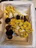 【京东空运】云南新鲜菌菇组合煲汤打边炉菌火锅炖汤蘑菇多种菌菇 七彩鲜菌组合1000g 实拍图