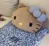野兽派家居（tbh）三丽鸥Hello Kitty二合一法兰绒暖香毯/抱枕毯靠垫午睡毯空调毯  实拍图