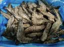 禧美海产鲜冻黑虎虾净重3斤装 大规格30-40只/kg规格 海鲜烧烤 礼盒 实拍图