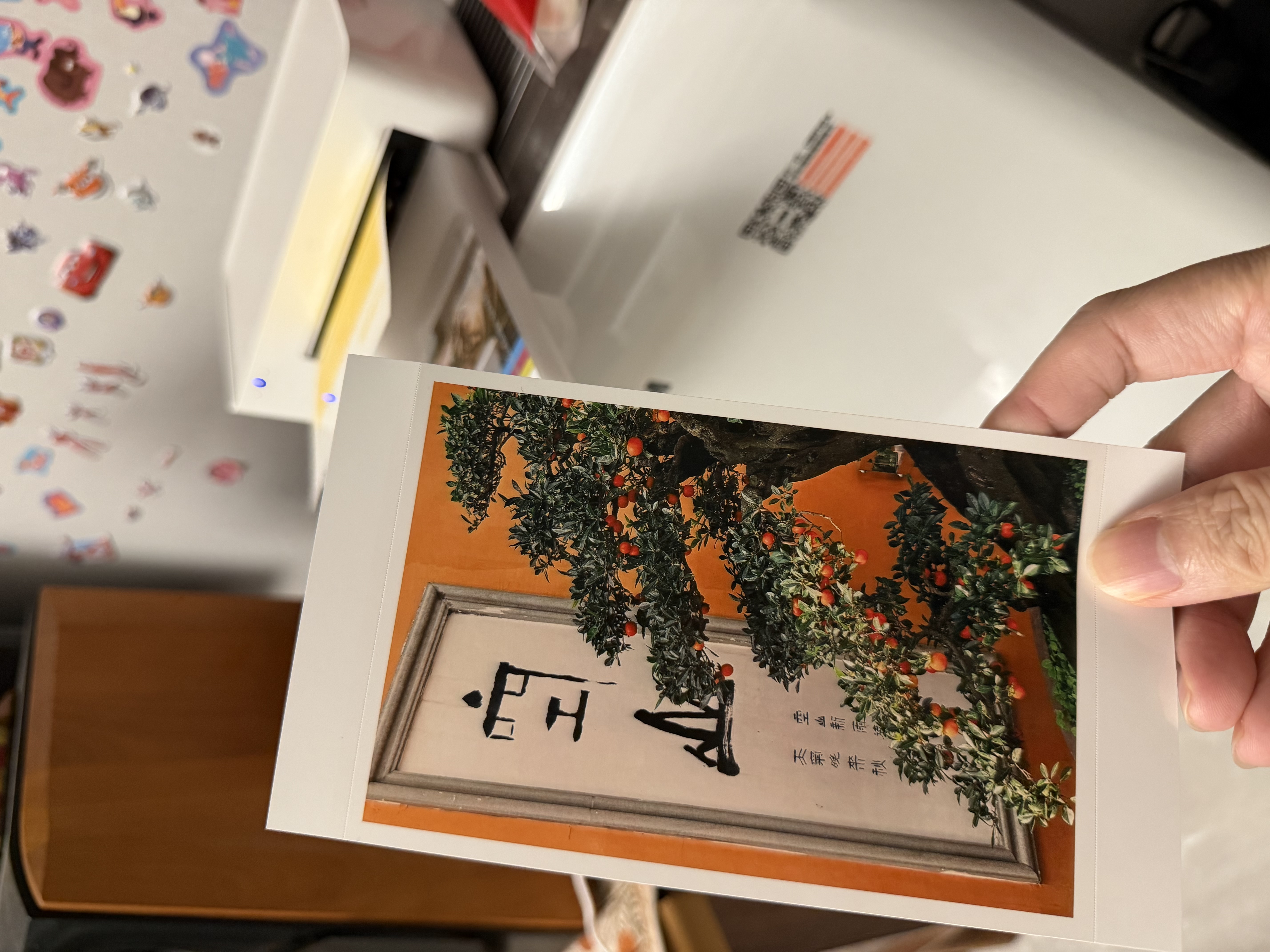 小米【新品】米家桌面照片打印机2套装四色热升华多尺寸相纸蓝牙连接支持AR家用七夕礼物送男友送女友 实拍图