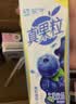 蒙牛真果粒蓝莓味牛奶饮品250g*12盒 新老包装 送礼礼盒 实拍图
