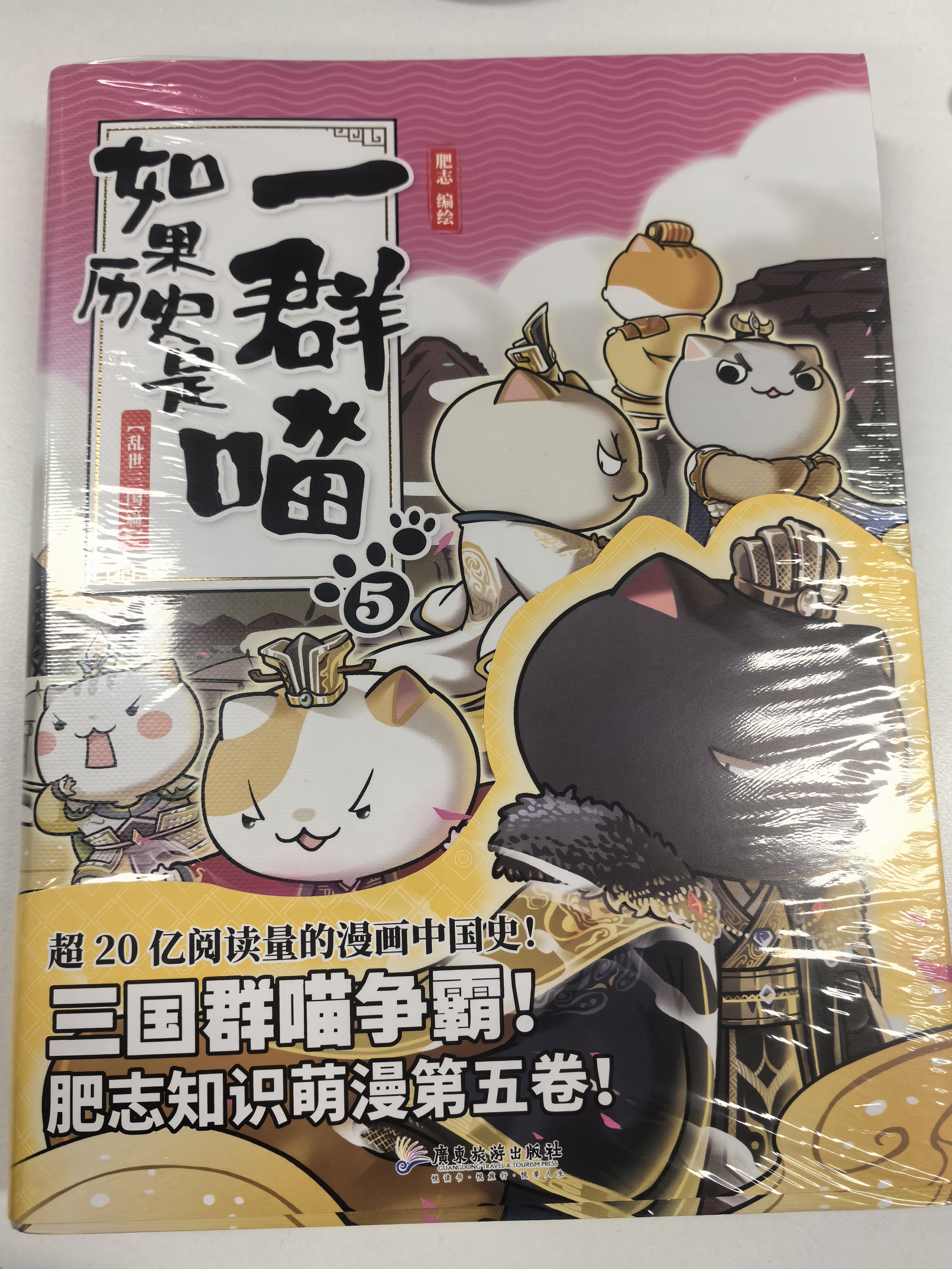 如果历史是一群喵6 魏晋南北篇【现货速发】 假如历史是一群喵 正版 历史是一群喵 肥志历史科普漫画书 小学生儿童漫画趣味中国史绘本动漫 第15册大清风云篇 实拍图