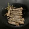 海速达全母带膏皮皮虾 净重1斤10-16只特大满肉熟冻濑尿虾爬虾婆 实拍图