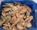 禧美海产海藻头北极甜虾净重1kg/盒 黑头虾 MSC认证 90-120+规格 聚餐 实拍图