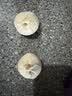悦味纪 嵊州老面小笼包800g 香辣豆干笋丁约30只手工包子早餐半成品速食 实拍图