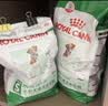 皇家狗粮 成犬狗粮 犬粮 宠物小型犬 PR27 全价犬粮≥10月2KG 实拍图