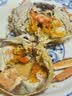 【活蟹】漁家师傅大闸蟹全母4.5-4.8两8只 去绳足重鲜活螃蟹现货生鲜水产礼盒 金秋送礼 实拍图