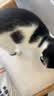 疯狂的主人防猫抓沙发保护贴猫抓垫可裁剪猫抓板猫抓贴墙神器不掉屑宠物用品 实拍图