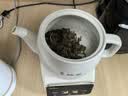 美的（Midea）煎药壶 全自动分体式3.5L家用调理壶 熬药炖汤养生智能免看管 二煎 MD-TLC3809 实拍图