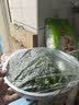 美丽雅保鲜罩食品级150只 一次性保鲜膜套 剩菜专用防尘碗套 实拍图
