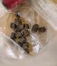 麦富迪狗狗零食 joy牛肉粒540g中小型犬磨牙棒训练奖励解馋宠物零食 实拍图